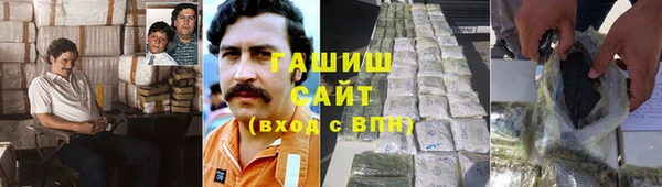 стаф Медногорск