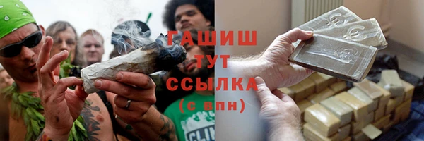 стаф Медногорск