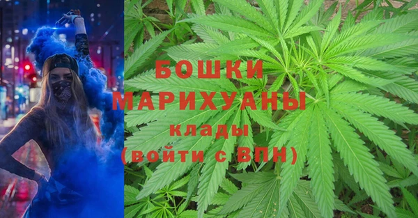 стаф Медногорск