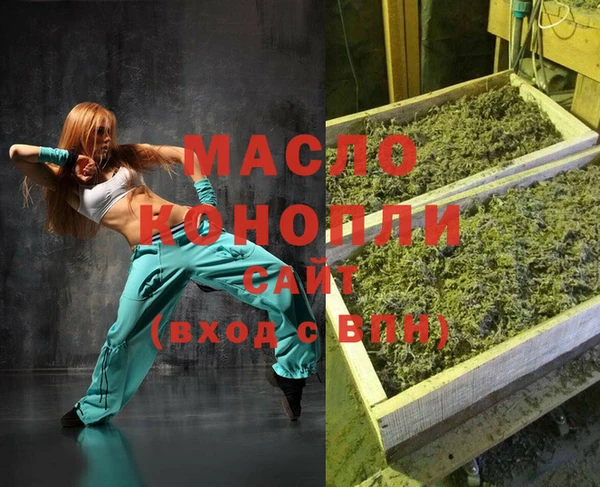 стаф Медногорск