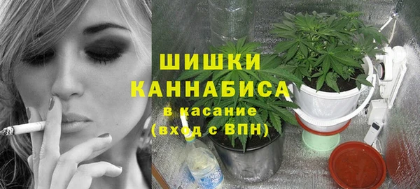 стаф Медногорск
