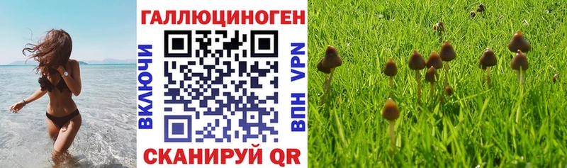 Галлюциногенные грибы прущие грибы  Болохово 
